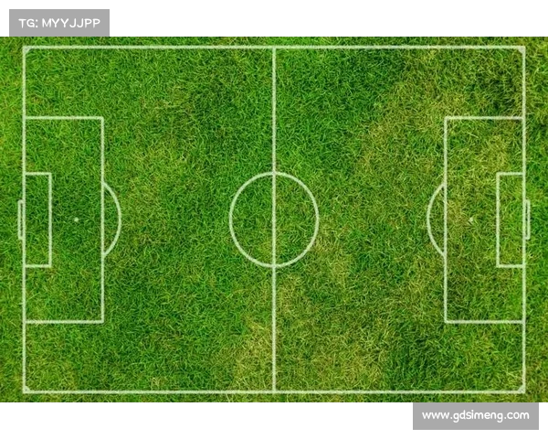 全面解析足球虚拟队的运作机制与团队管理策略及实战应用深度指南