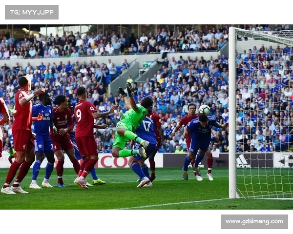 加的夫城足球队参加的英格兰足球联赛完整指南与赛季展望