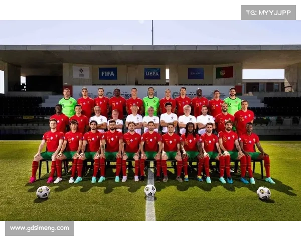 围绕葡萄牙最具代表性的五大球队名称展开全景式全方位解读剖析篇